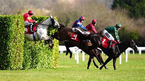 The 7 best Cheltenham tips for Thursday’s festival card.